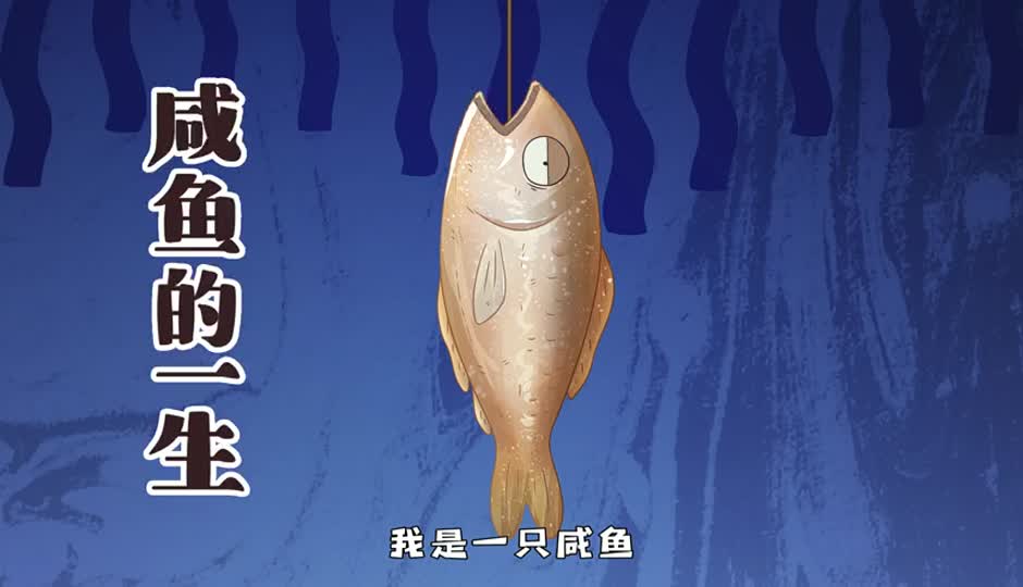咸鱼的一生