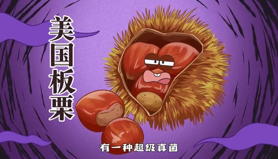 美国板栗灭绝记