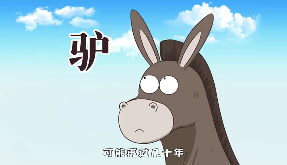 驴