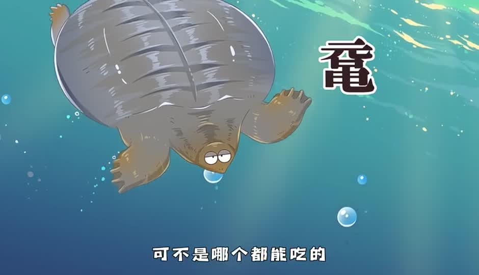 鼋
