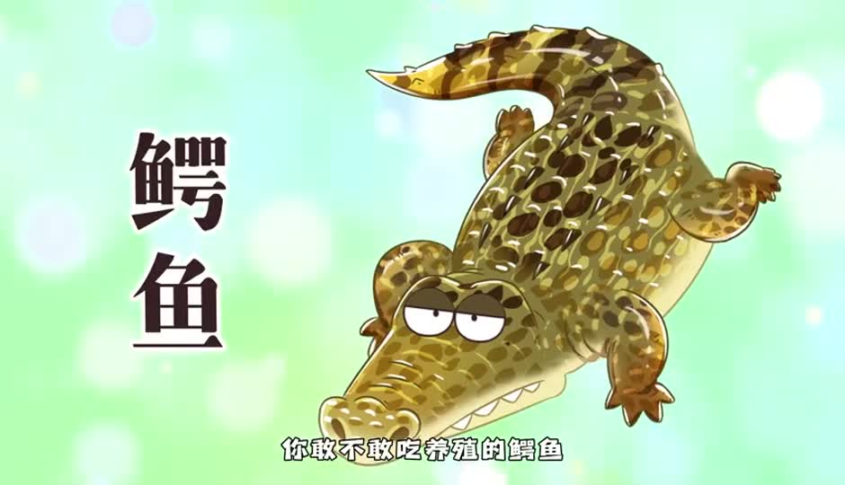 鳄鱼