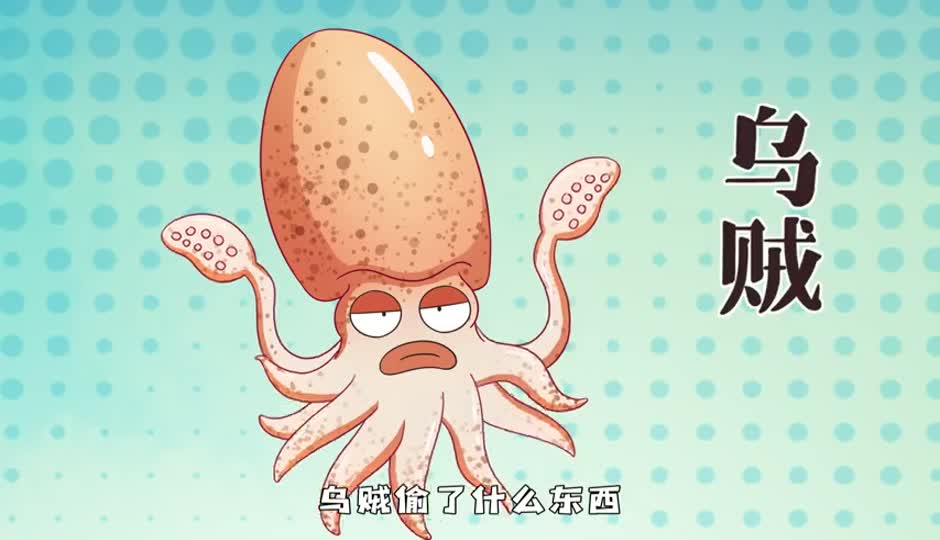 乌贼