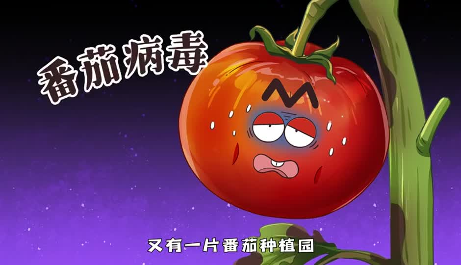 番茄病毒