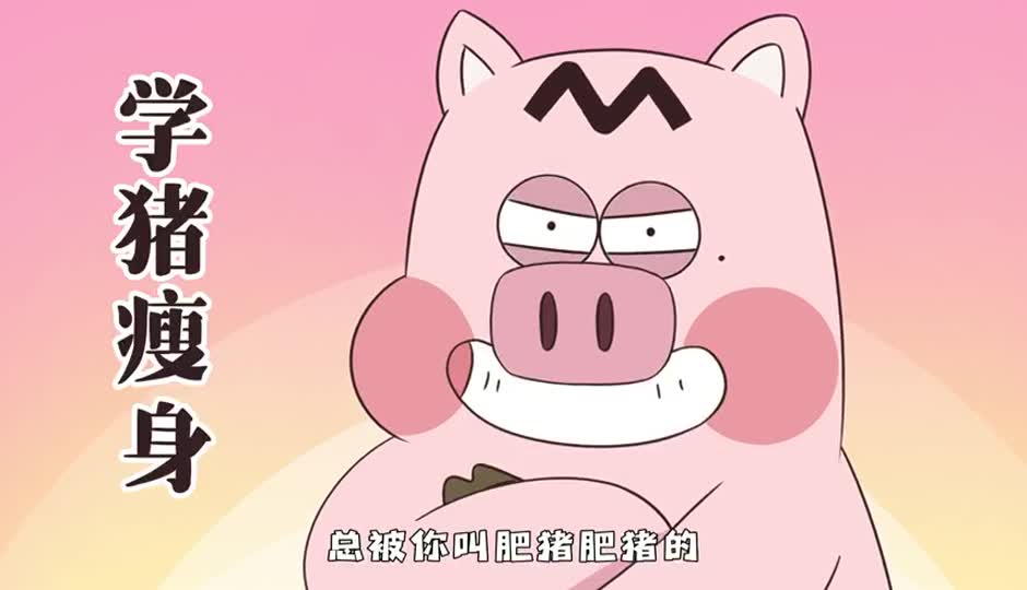 学猪瘦身