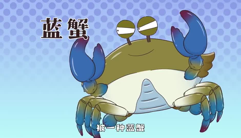蓝蟹