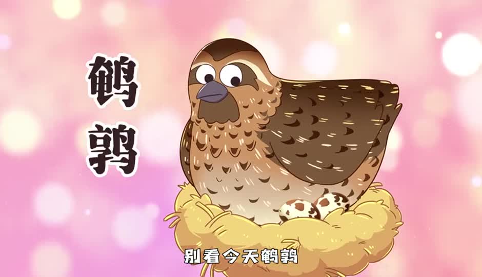 鹌鹑
