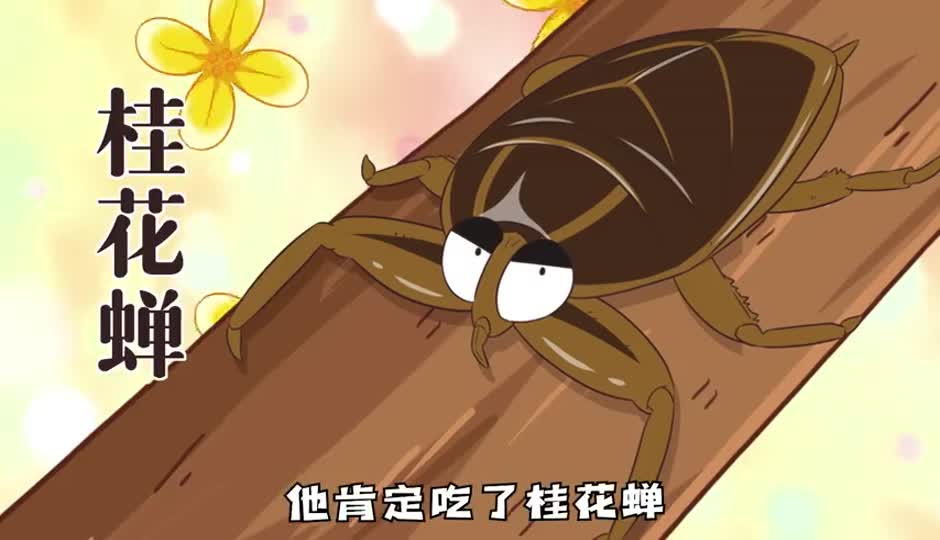 桂花蝉