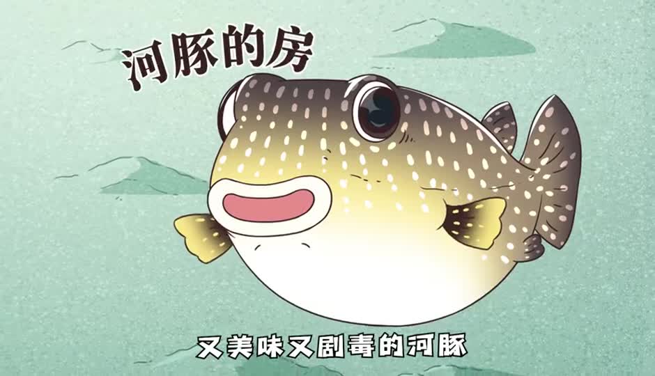 河豚的房