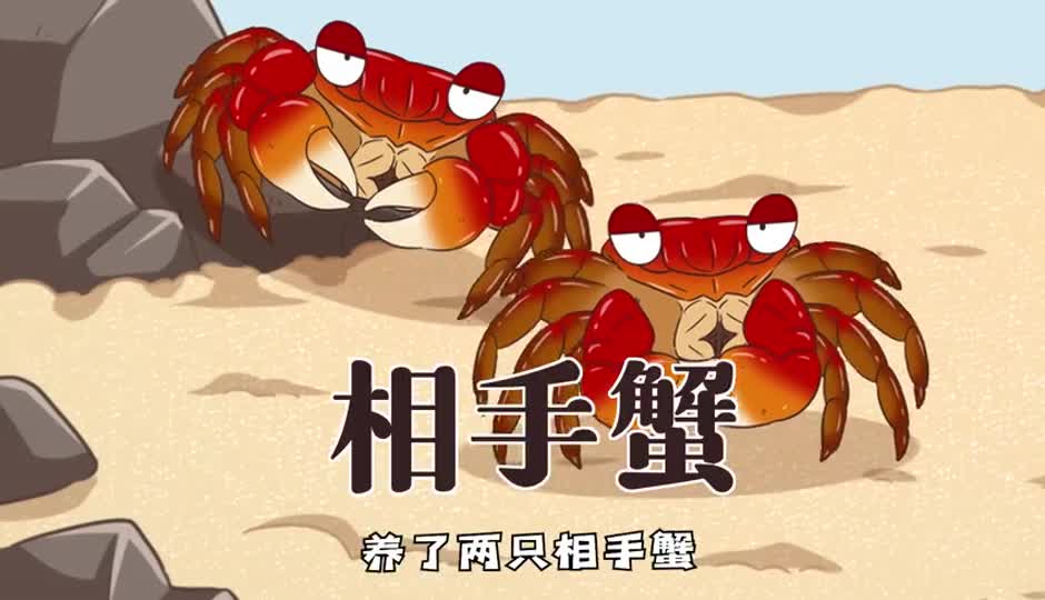 相手蟹
