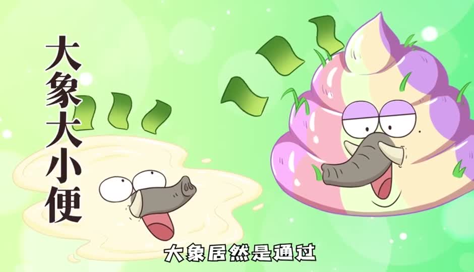 大象便便