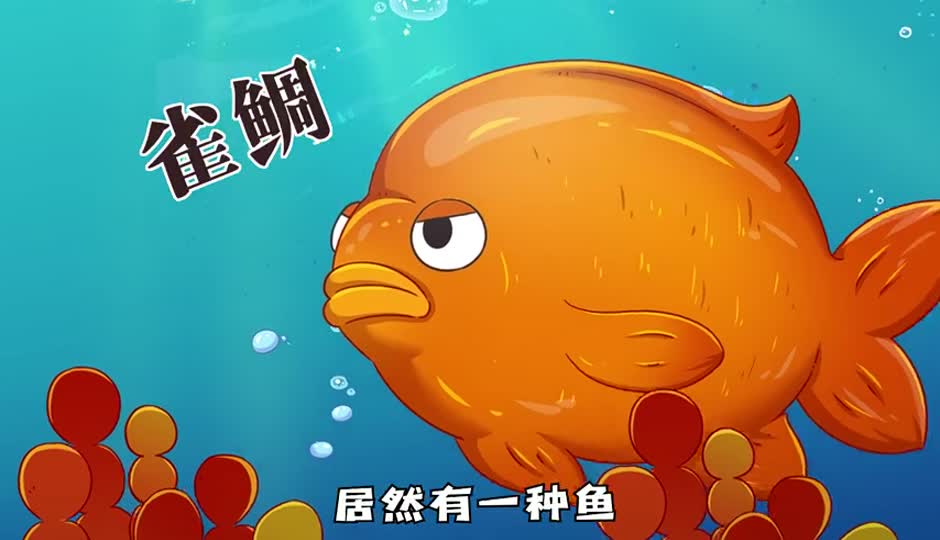 雀鲷
