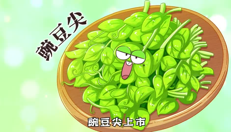 豌豆尖