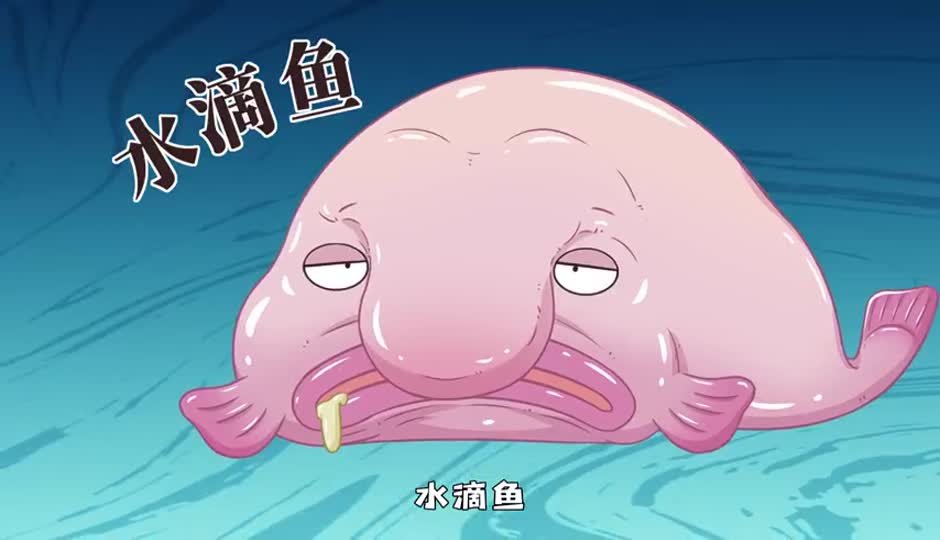 水滴鱼