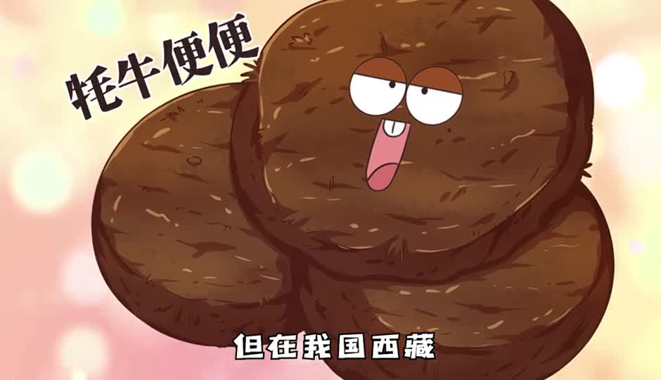 牦牛便便