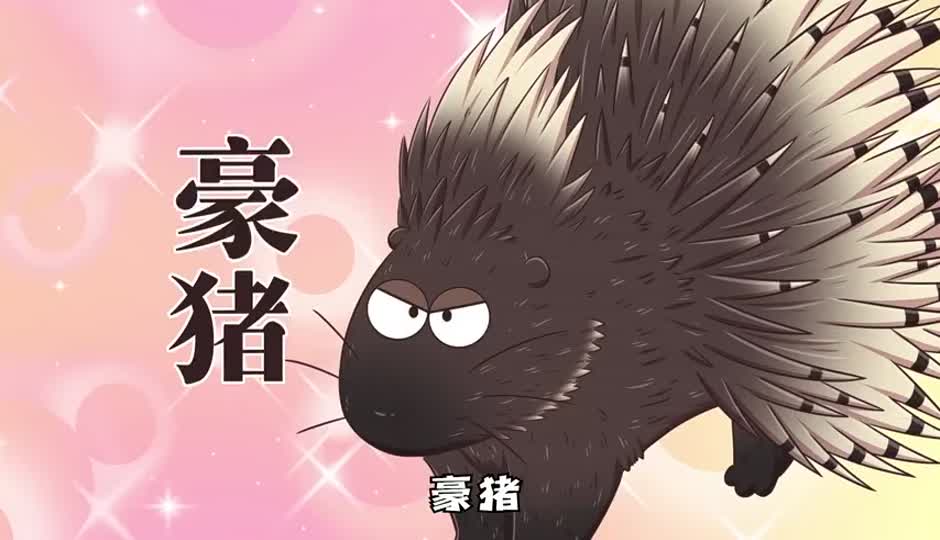 豪猪