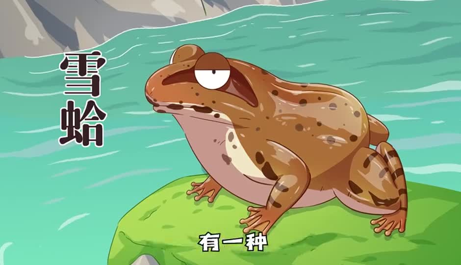 雪蛤
