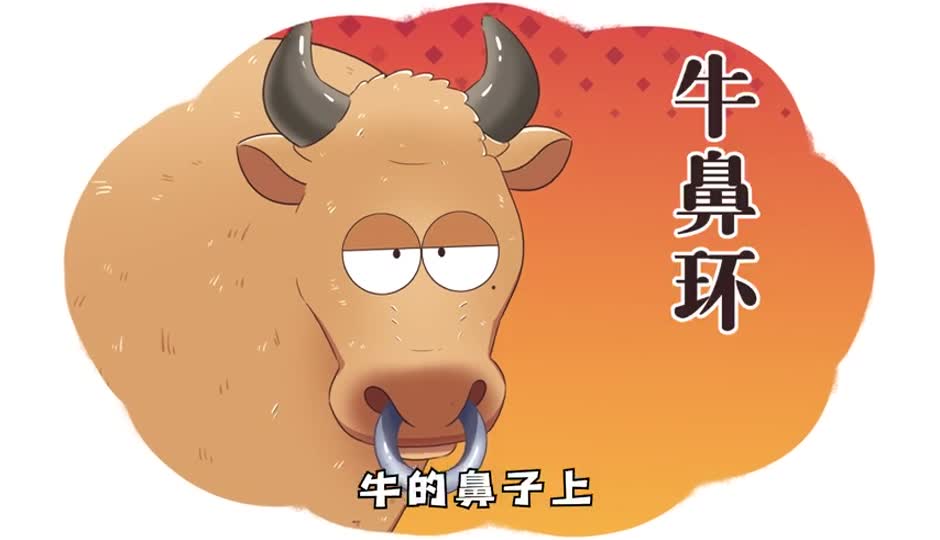 牛鼻环
