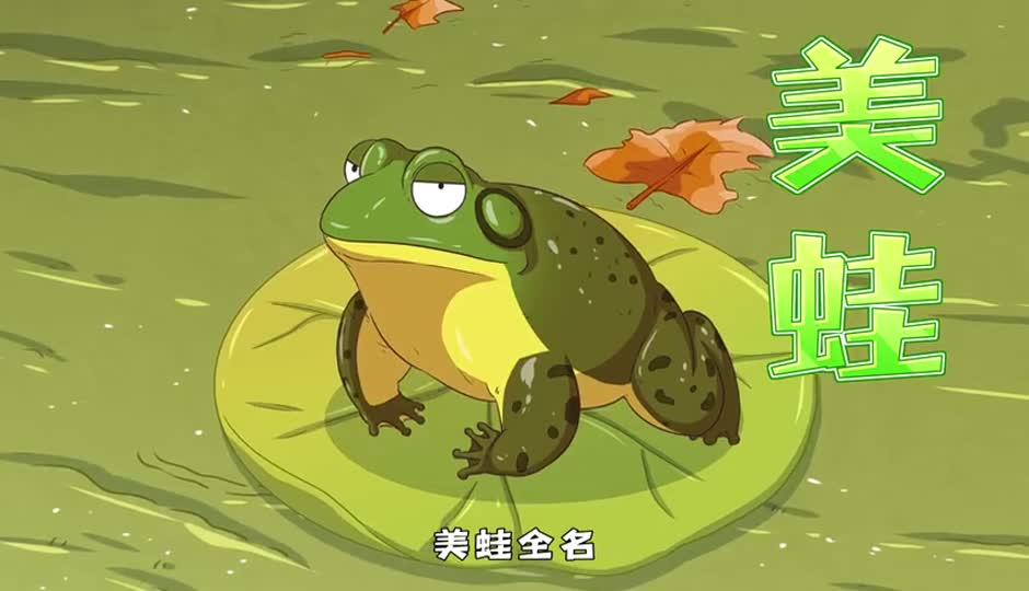 美蛙