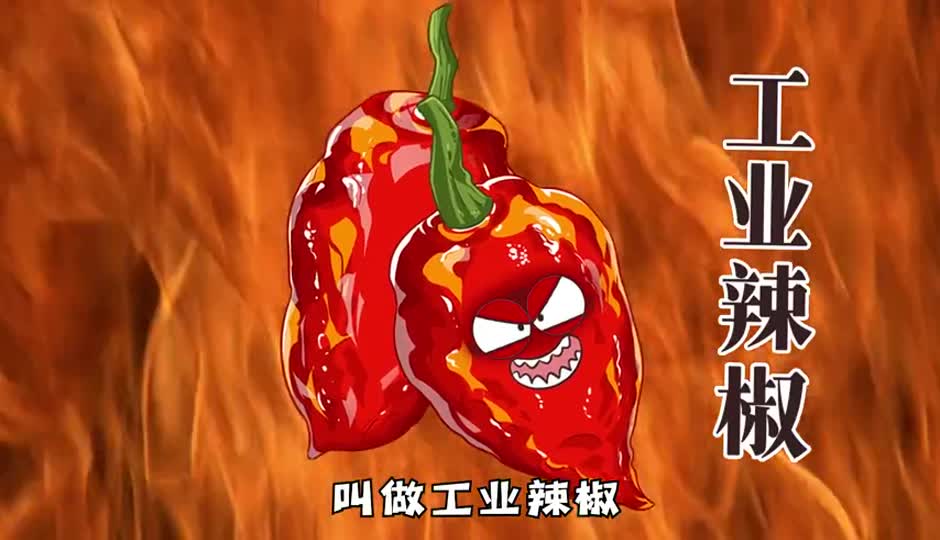 工业辣椒