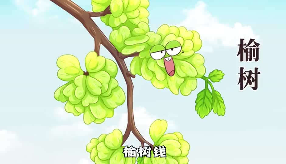 榆树