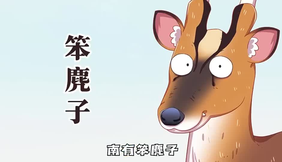 笨麂子
