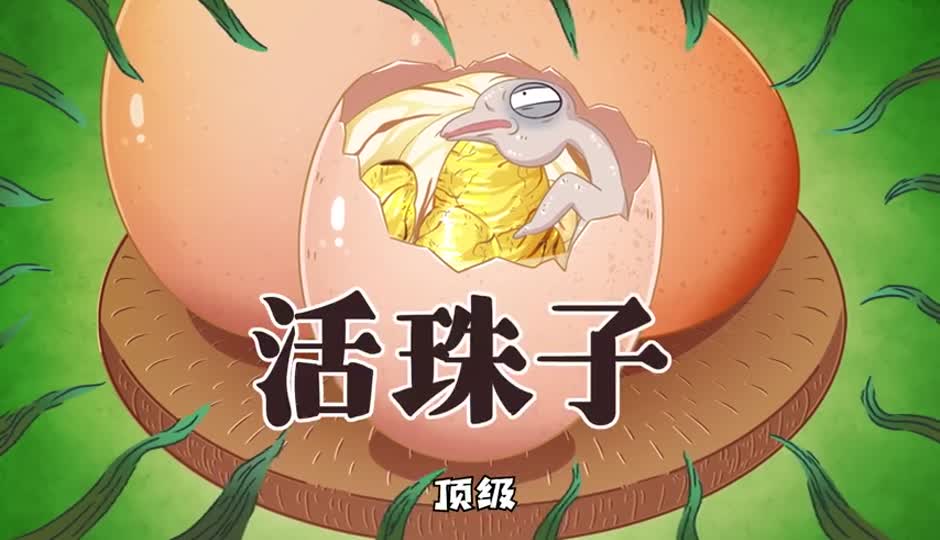 活珠子