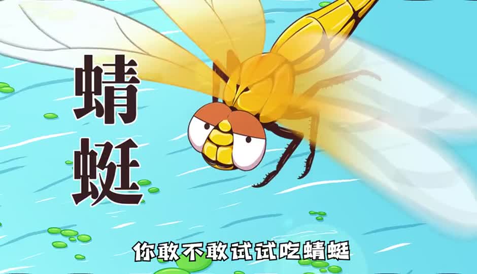 蜻蜓