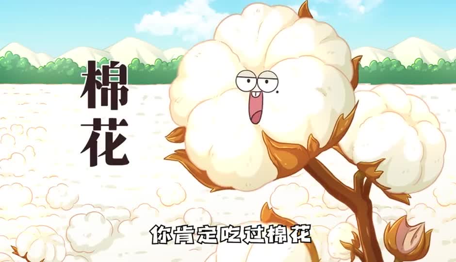 棉花