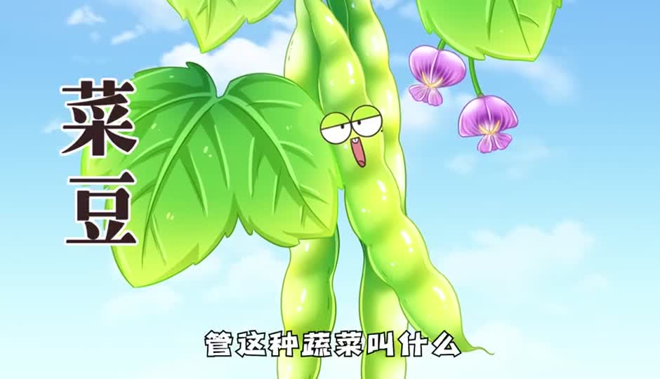 菜豆