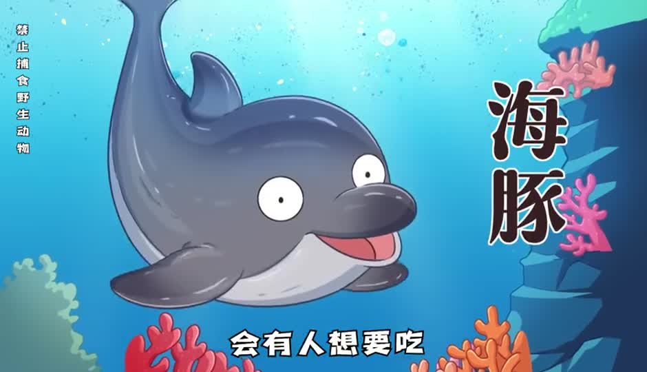 海豚