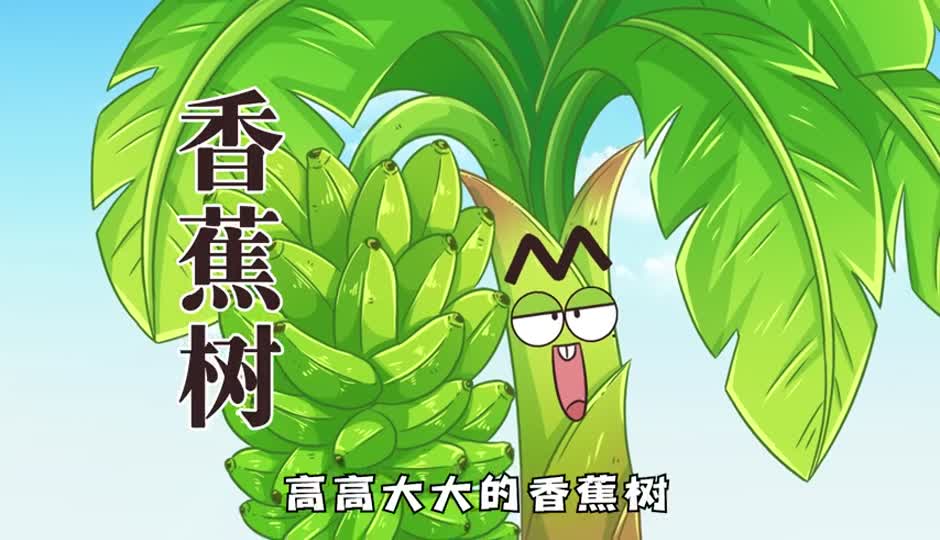 香蕉树