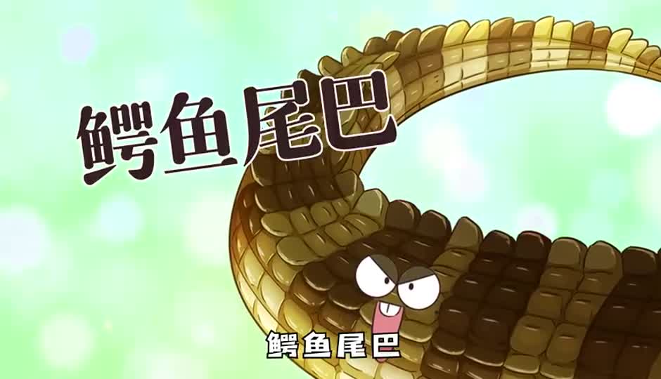 鳄鱼尾巴