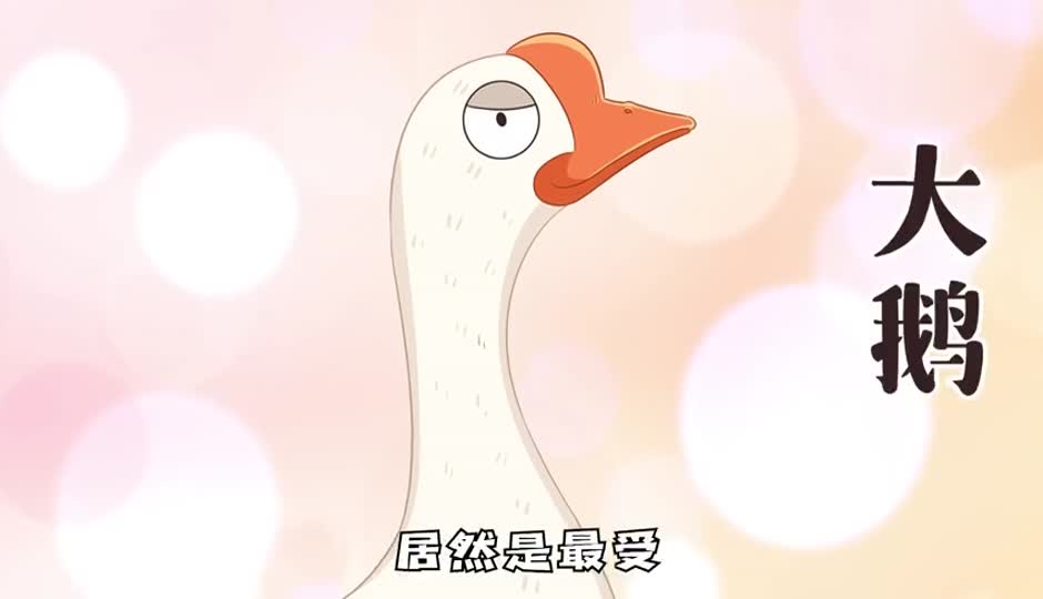 鹅