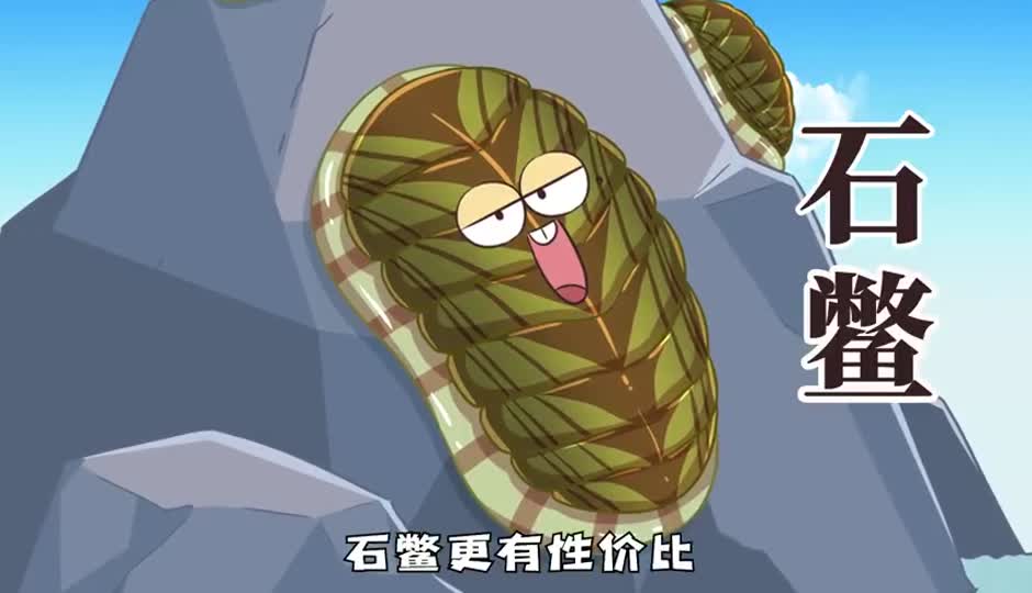 石鳖