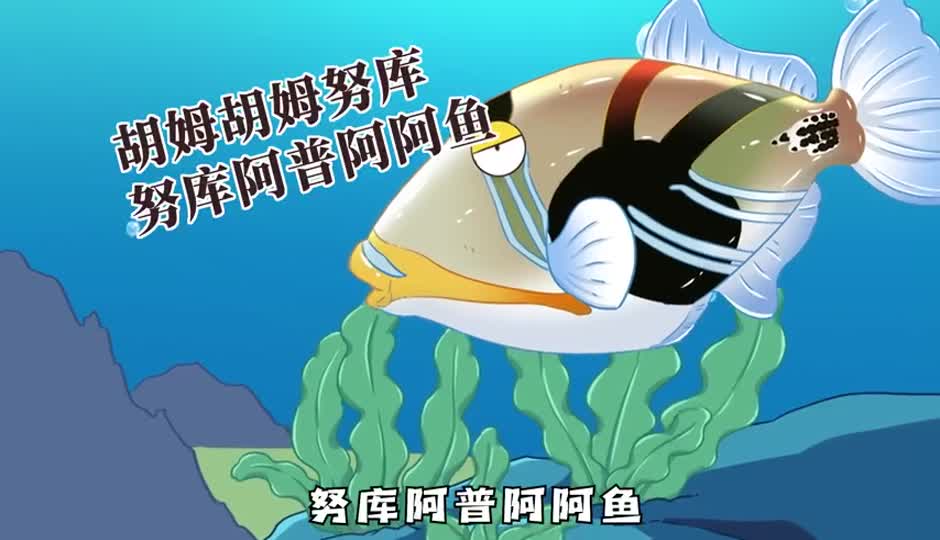 胡姆胡姆鱼