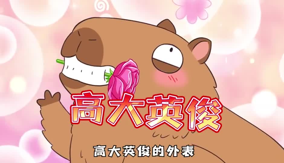 莫尼西鼠
