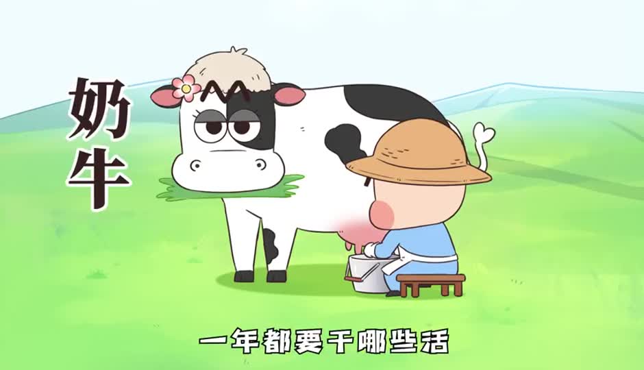 奶牛