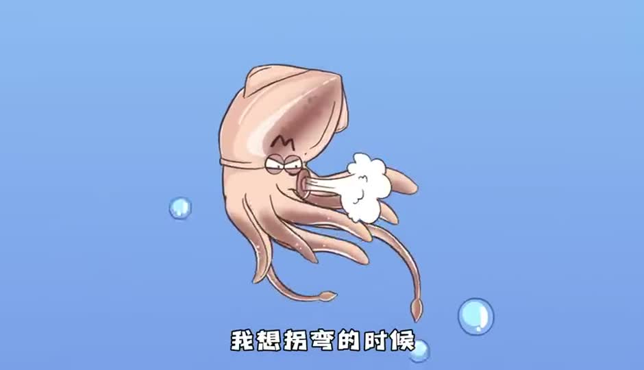 鱿鱼的PP