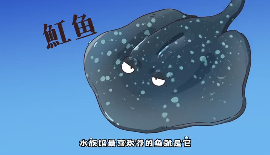 魟鱼