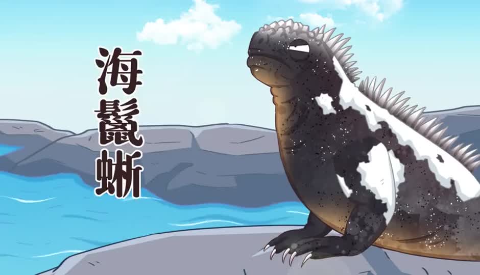 海鬣蜥
