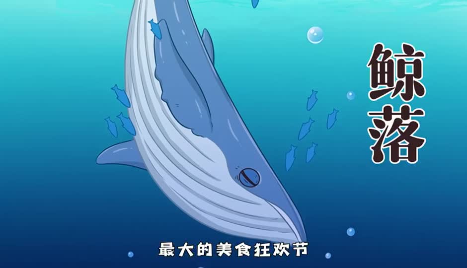 鲸落