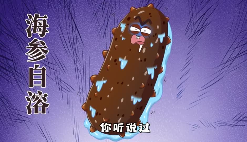 海参自溶