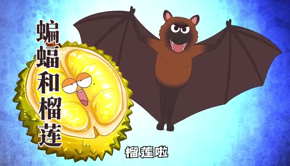 榴莲和蝙蝠