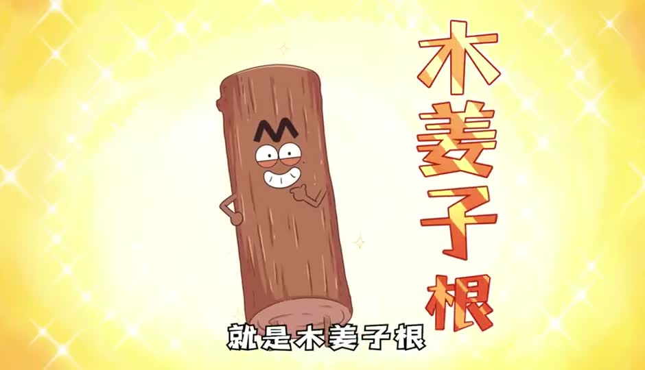 木姜子根