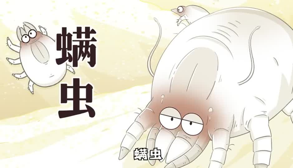 螨虫