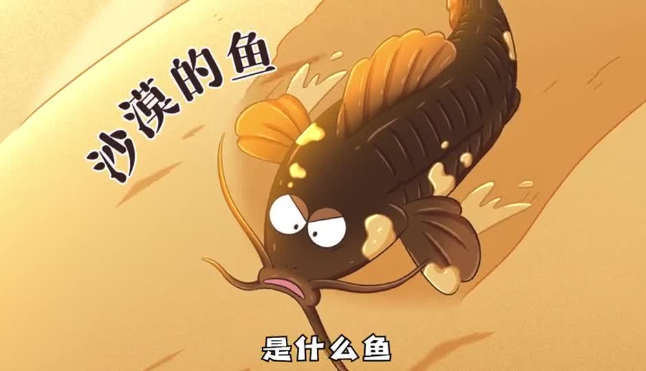 沙漠的鱼