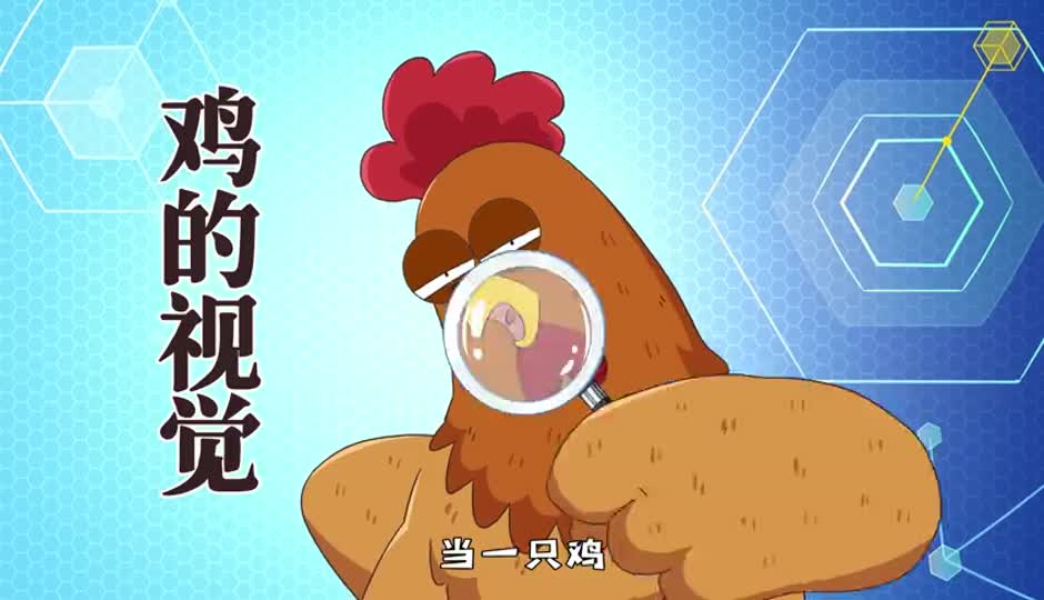 鸡的视觉
