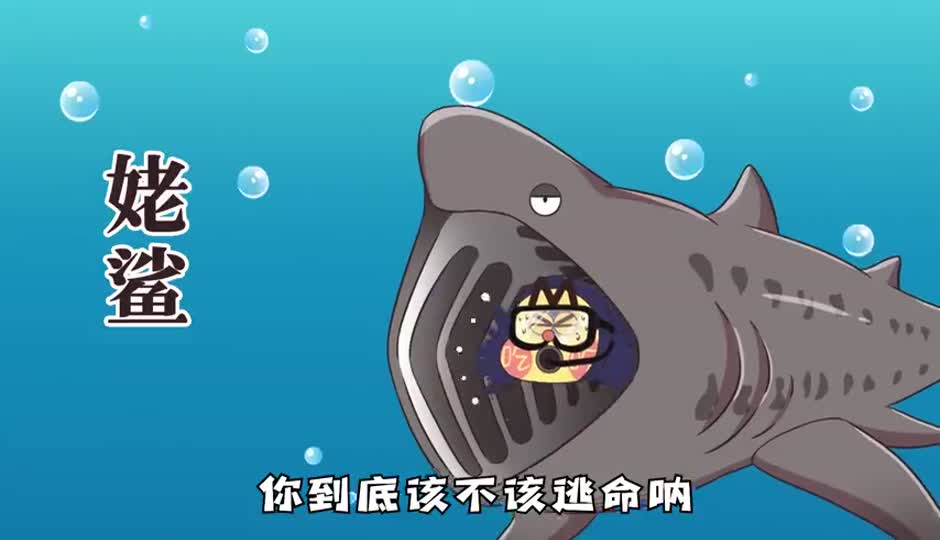 姥鲨