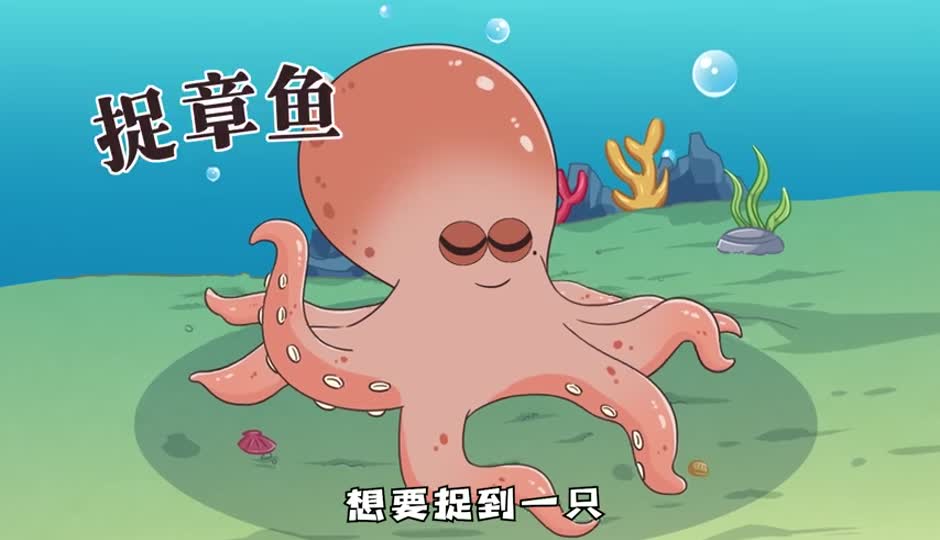 抓章鱼