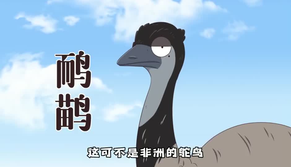 鸸鹋